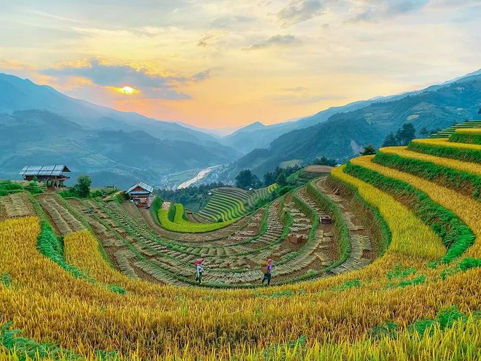 Đánh giá về Mù Cang Chải - Vẻ đẹp tự nhiên trong sáng 5