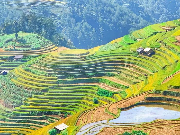 Đánh giá về Mù Cang Chải - Vẻ đẹp tự nhiên trong sáng 11