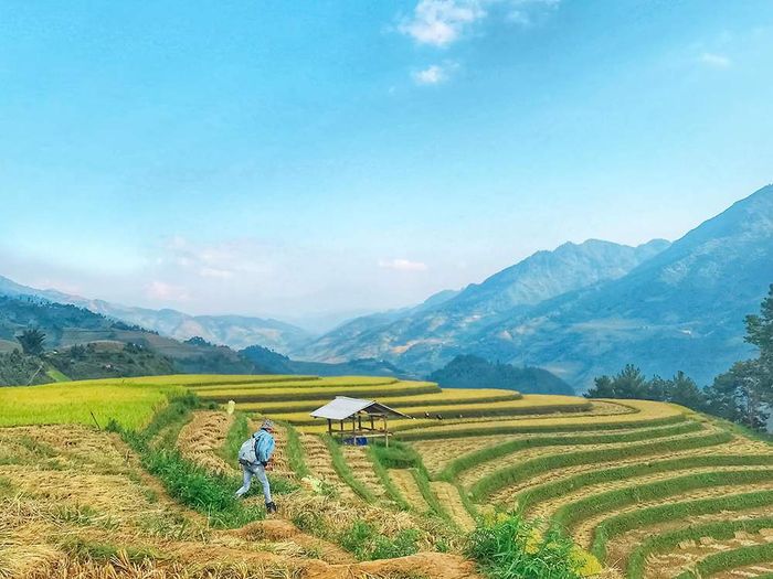 Đánh giá về Mù Cang Chải - Vẻ đẹp tự nhiên tinh khiết 7