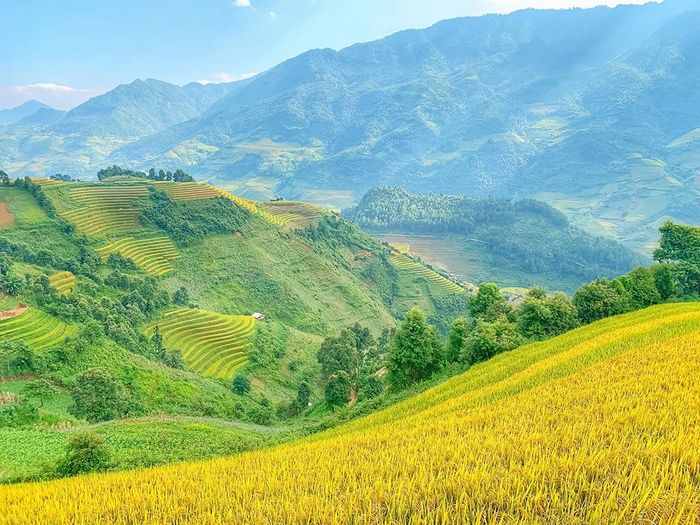 Đánh giá về Mù Cang Chải - Vẻ đẹp tự nhiên tinh khiết 9