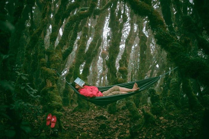 Trekking Tà Xùa - Yên Bái 5 trở nên dễ dàng hơn bao giờ hết với hướng dẫn mới này!