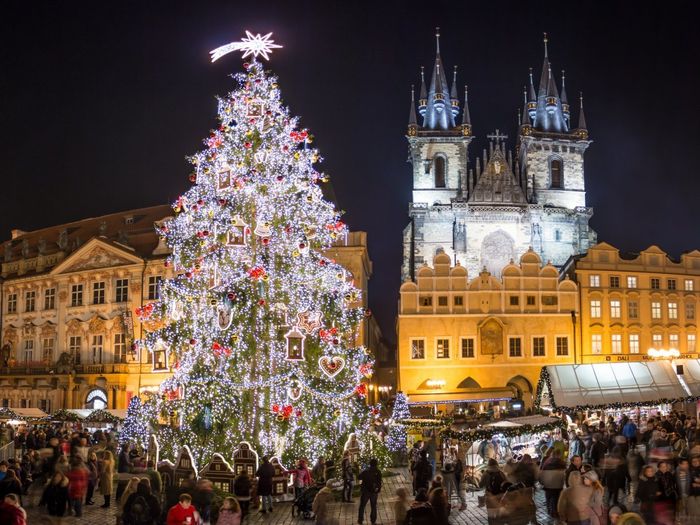 Cây thông Noel được trang trí rất đẹp vào dịp này