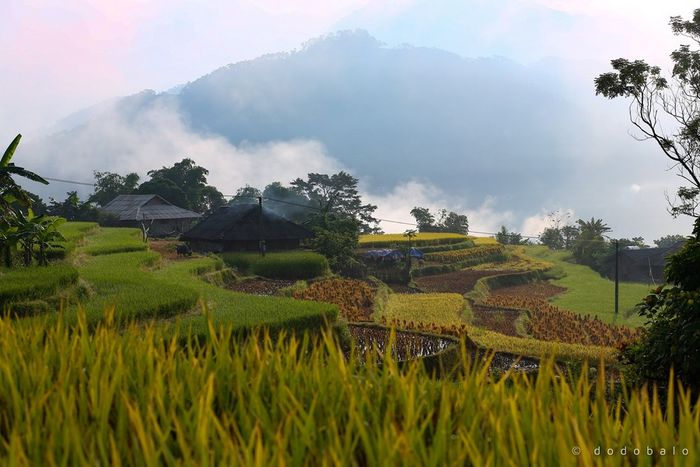 Đắm chìm vào Bản Phùng, nơi mang vẻ đẹp mê hồn người 7