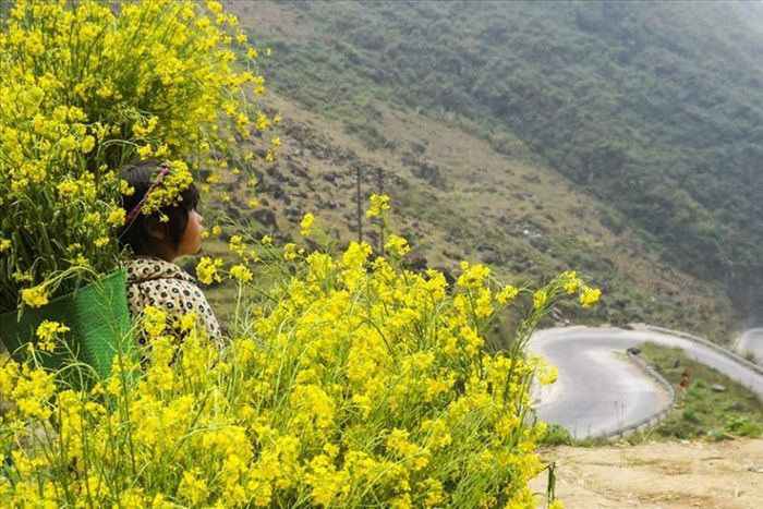 Hướng dẫn an toàn cho chuyến đi xe máy từ Hà Nội đến Hà Giang lần thứ tư