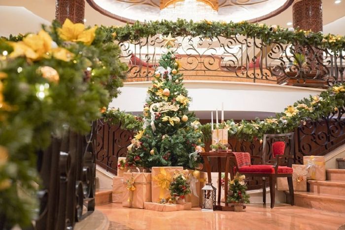 Cây thông Noel là gì?