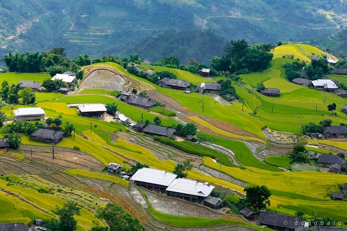 Đắm chìm vào Bản Phùng, nơi mang vẻ đẹp say đắm lòng người 3