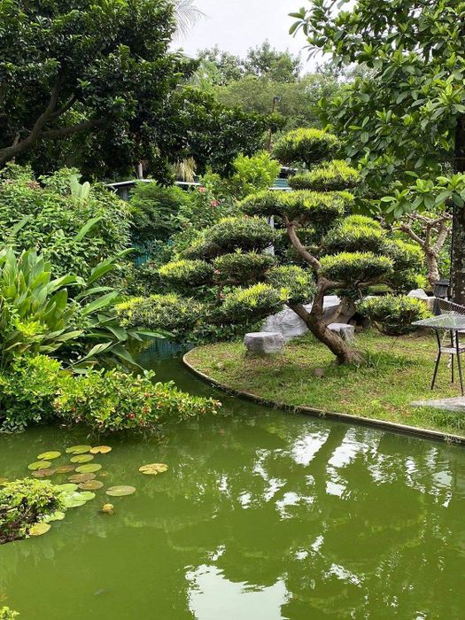 SoftWater Restaurant - Một ốc đảo bình yên giữa lòng đô thị đông đúc 2