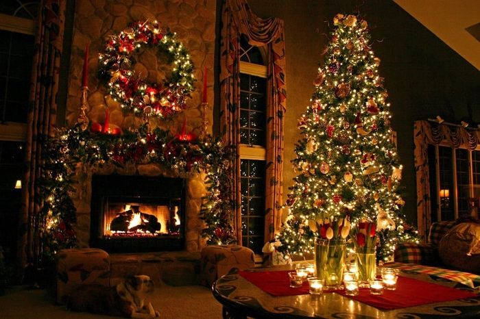 Cây thông Noel là điều không thể thiếu trong mùa lễ hội này