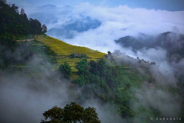 Đắm chìm vào Bản Phùng, nơi mang vẻ đẹp mê hồn người 4