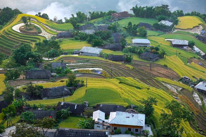 Đắm chìm vào Bản Phùng, nơi mang vẻ đẹp mê hồn người 5