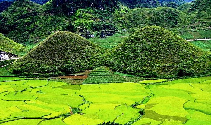 Mytour.vn đề xuất cho bạn kế hoạch du lịch tự túc Hà Giang 4 ngày 3 đêm từ đầu đến cuối