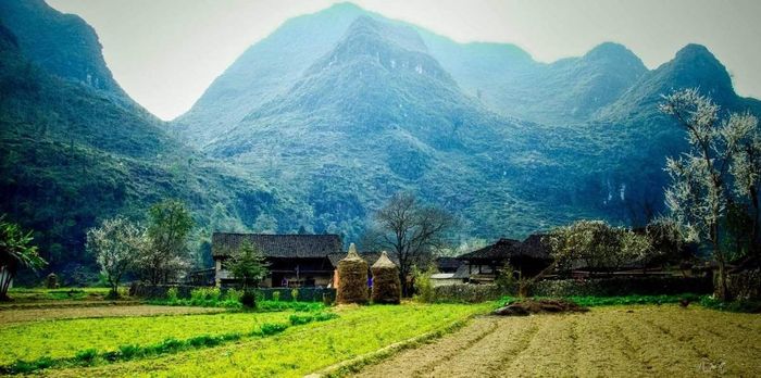 Hãy khám phá chuyến đi Hà Giang tự túc 5 ngày 4 đêm bắt đầu từ Hà Nội 8