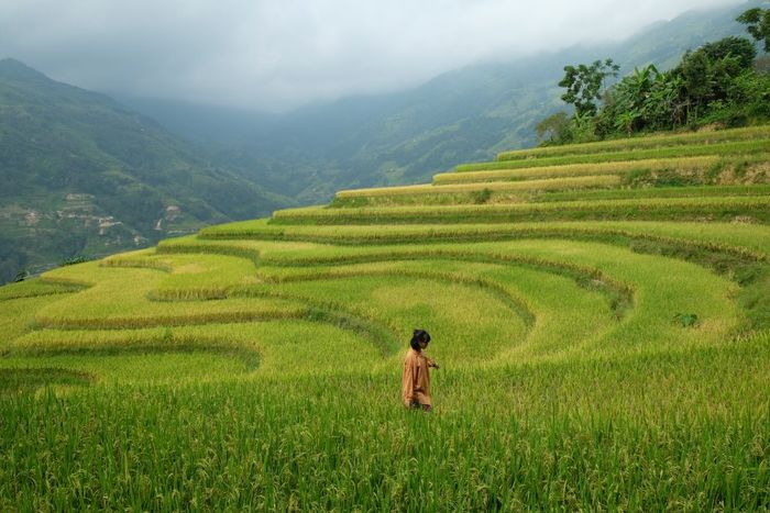 Đánh giá Bản Phùng - Bức tranh về thiên nhiên và con người La Chí 6