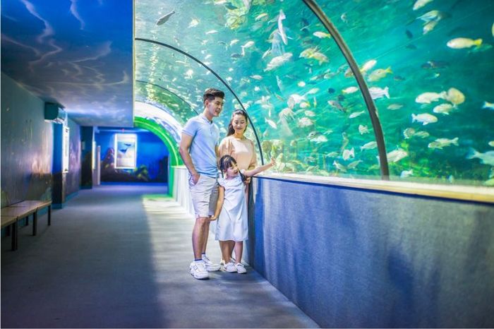 Thủy cung Times City, điểm du lịch nổi tiếng ở Hà Nội