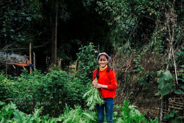 Đánh giá chuyến đi một mình đến Hà Giang để thực hiện giấc mơ 12