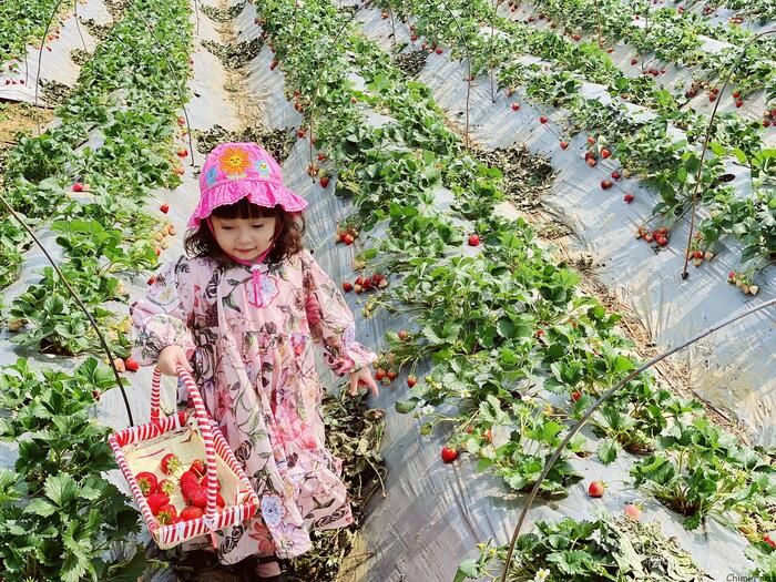 Bạn muốn biết điều gì vào ngày 10/3 ở Hà Nội?