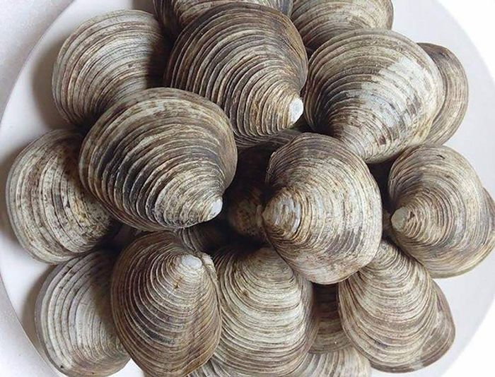 Danh sách 15+ món ngon ở Hạ Long