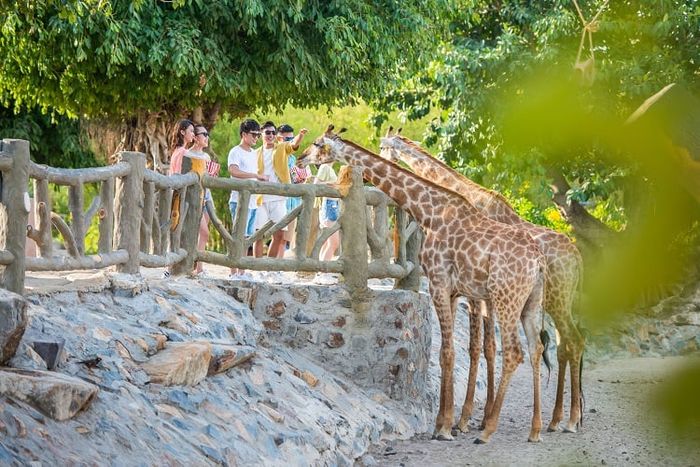 Du lịch MICE tại Nha Trang