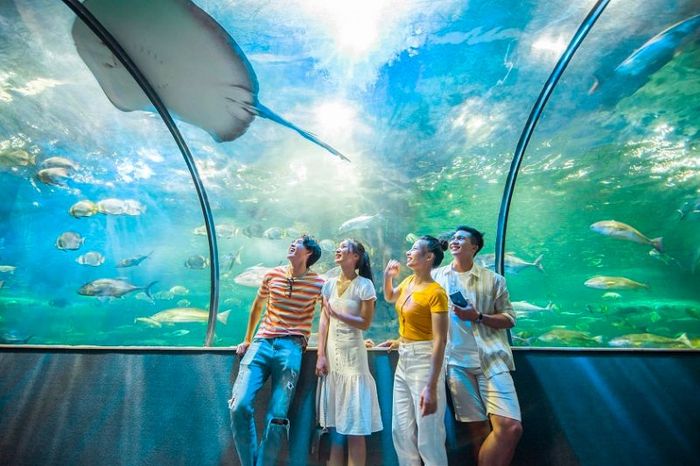 Khám phá Thủy cung Times City, một điểm đến du lịch độc đáo tại Hà Nội