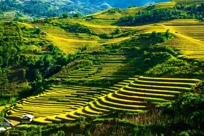 Đánh giá Hà Giang cùng “Hoàng tử dạo chơi trong rừng” 3