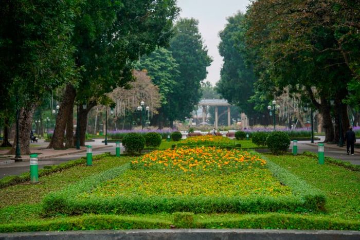 Khám phá công viên Thống Nhất, điểm xanh của Thủ đô Hà Nội 3