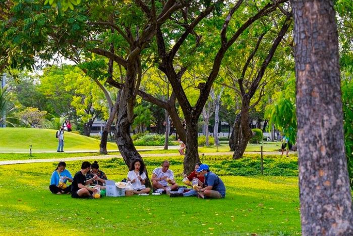 Khám phá công viên Thống Nhất, một “lá phổi xanh” của Thủ đô Hà Nội 5