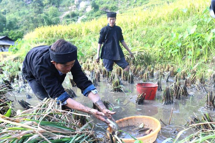 Đánh giá Bản Phùng - Bức tranh về thiên nhiên và con người La Chí 7