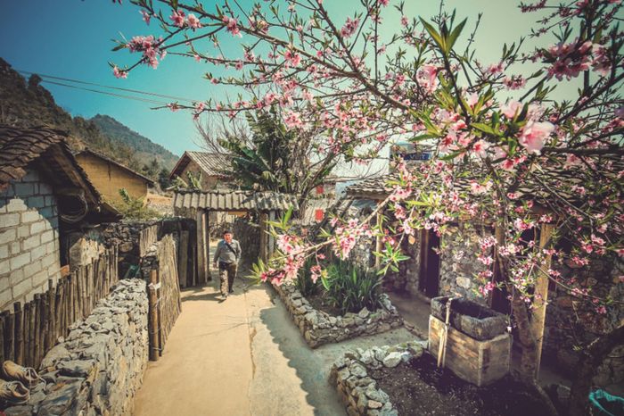 Đánh giá Hà Giang cùng “Hoàng tử dạo chơi trong rừng” 5