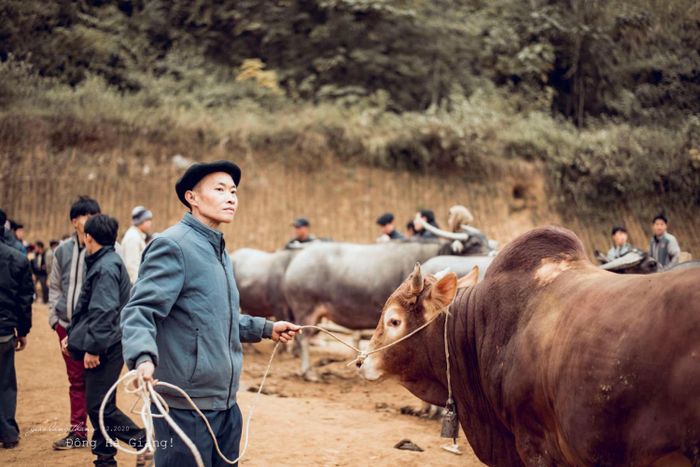 Đánh giá chuyến đi một mình đến Hà Giang để thực hiện giấc mơ 10