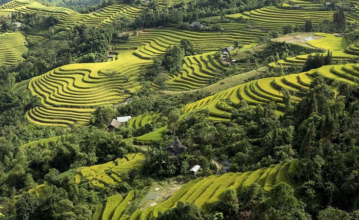 Di sản ruộng bậc thang ở Hoàng Su Phì - Một kiệt tác của đất Hà Giang 2