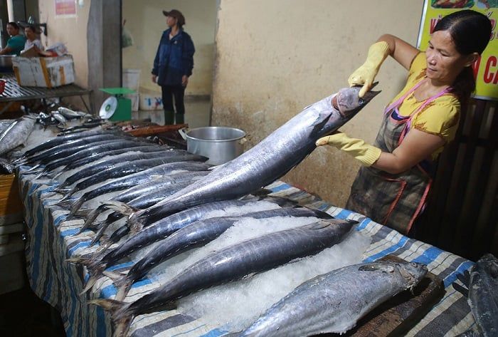 Cá Thu Nướng Của Cửa Lò