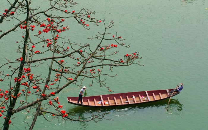 Chia sẻ kinh nghiệm du lịch Hà Nội mùa hoa gạo đẹp mê mẩn 12
