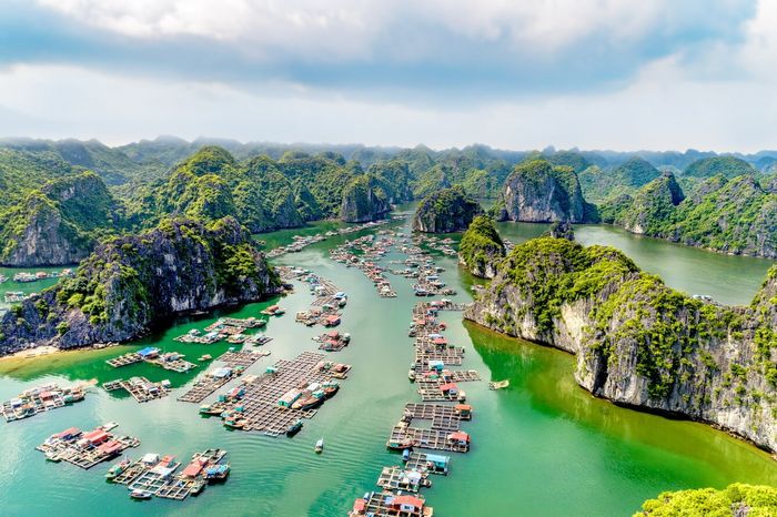 Danh sách kinh nghiệm thú vị khi thăm vịnh Lan Hạ với chi phí hợp lý nhất