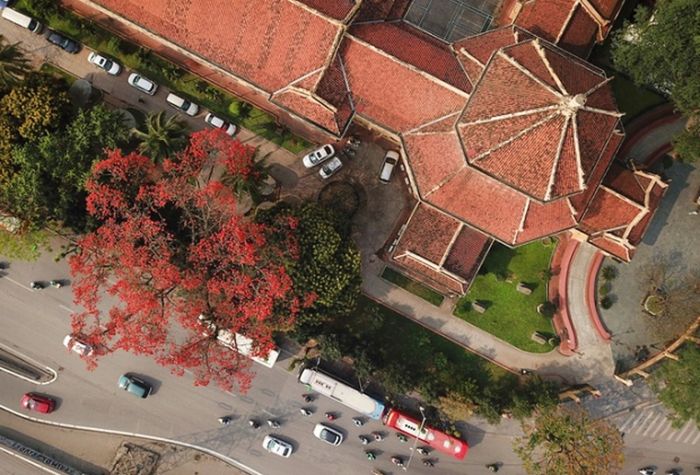 Chia sẻ kinh nghiệm du lịch Hà Nội mùa hoa gạo đẹp mê mẩn 5