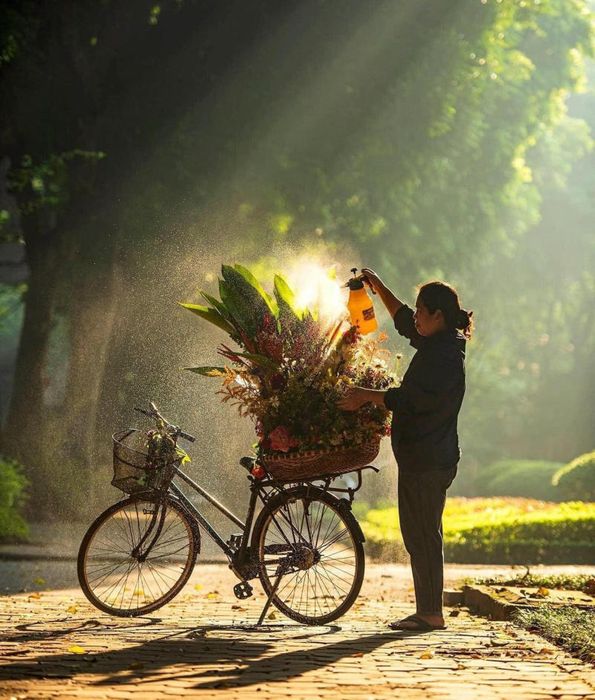 Mùa thu ở Hà Nội, vẫn có những chiếc xe hoa mang đến cảm giác dịu dàng