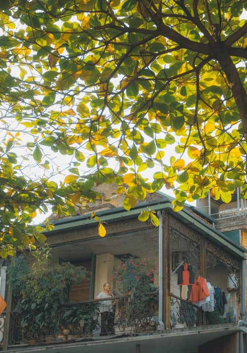 Mùa thu ở Hà Nội sáng sủa dưới ánh nắng ấm áp 5