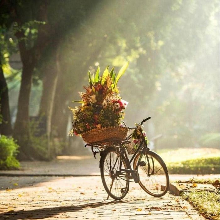 Mùa thu ở Hà Nội, vẫn có những chiếc xe hoa đong đầy dịu dàng