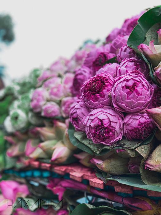 Những chiếc xe hoa đầy ắp hoa lá trên đường phố thủ đô Hà Nội