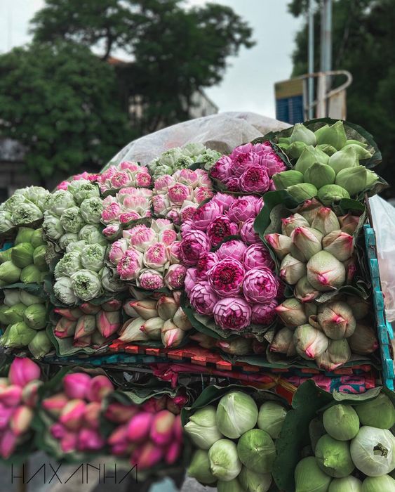 Kỷ niệm về những chiếc xe hoa đầy ý nghĩa ở Hà Nội