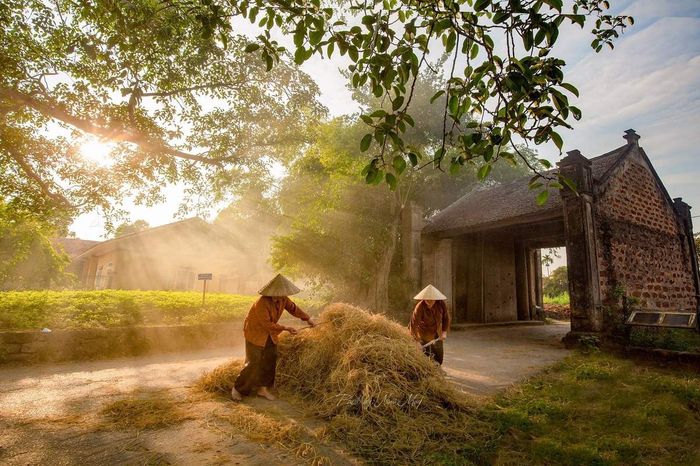 Bí quyết du lịch Làng Cổ Đường Lâm chi tiết nhất 4