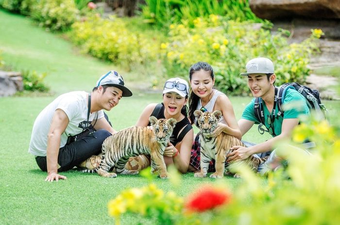 Xe điện đụng Hà Nội