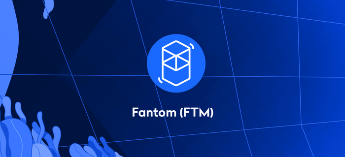 Cộng đồng Fantom đề xuất việc sử dụng phí đốt coin để thiết lập quỹ hỗ trợ cho việc phát triển hệ sinh thái.