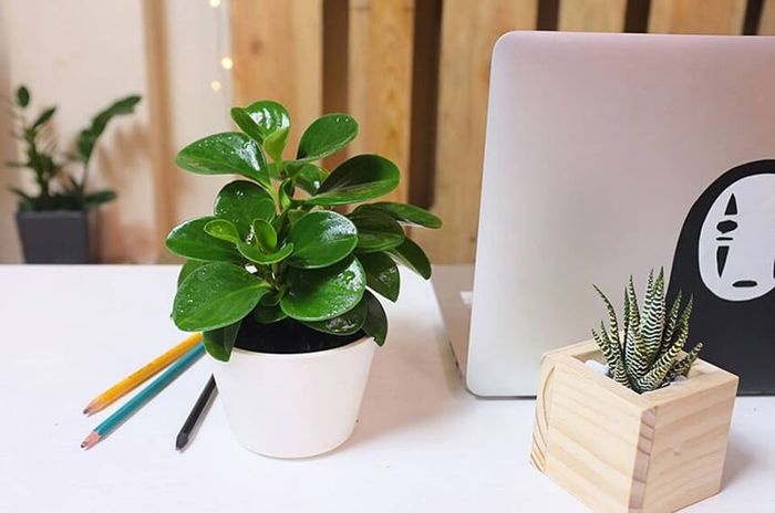 Quà tặng dành cho bạn thân là con gái