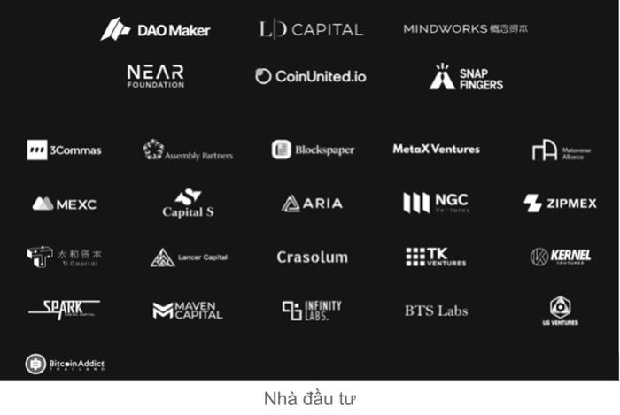 Nhà Đầu Tư của Web3Games