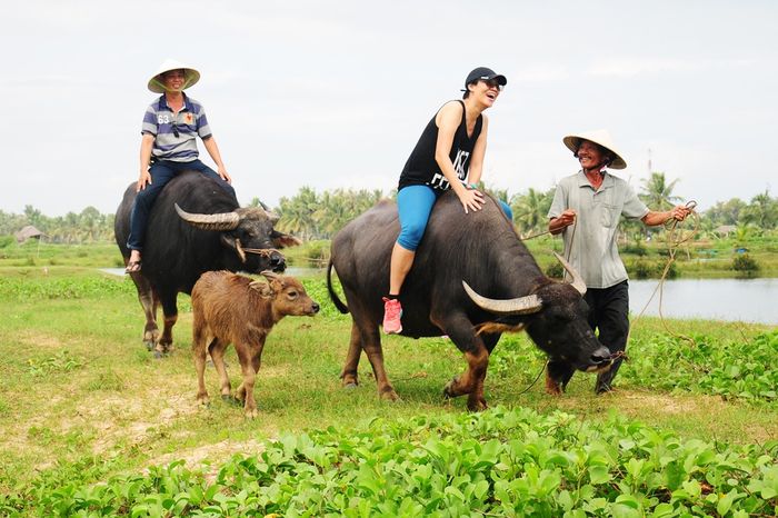 Làng rau Trà Quế Hội An - Từ làng rau độc đáo đến điểm du lịch quốc tế 13
