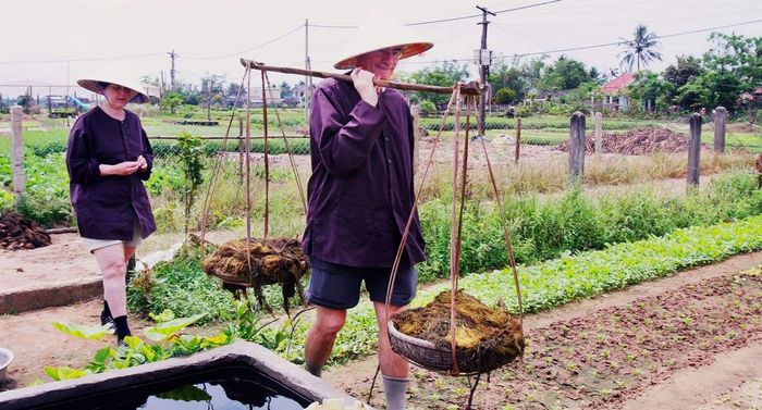 Làng rau Trà Quế Hội An - Từ làng rau đặc biệt đến điểm du lịch quốc tế 11