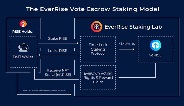 Mô hình của token veRISE trong hệ sinh thái EverRise