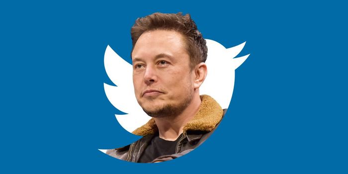 CEO Twitter tuyên bố Elon Musk sẽ không tham gia vào ban quản trị của công ty