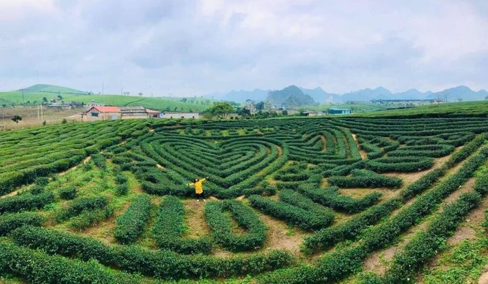 Kế hoạch tự túc trekking Mu Náu - Phiên Cành trong 2 ngày dành cho nhóm yêu thích Mộc Châu 9
