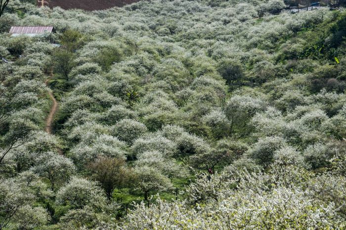 Hướng dẫn lịch trình trekking tại Mu Náu - Phiên Cành trong 2 ngày tự túc cho nhóm yêu thích Mộc Châu